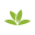 PlantNet Plant Identification 3.19.3 (120-640dpi) (Android 5.0+)