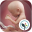 Pregnancy App & Baby Tracker 4.37.1 (Android 5.0+)