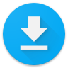 Download Manager 10 (Android 10+)