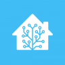 Home Assistant (minimal version) 2024.5.1-minimal beta (Android 10+)