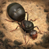 The Ants: Underground Kingdom 3.33.0