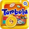 Octro Tambola: Play Bingo game 6.31 (arm-v7a)