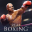 Real Boxing – Fighting Game 2.11.0