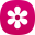 Samsung Gallery 15.9.00.43