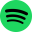 Spotify: Music and Podcasts (Wear OS) 9.1.6.1139
